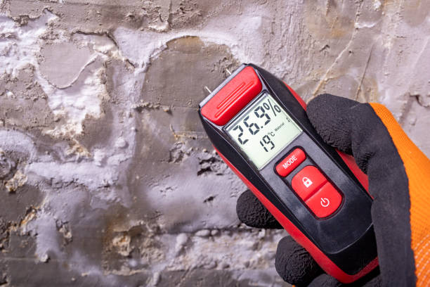 Best Attic Mold Remediation in Geneva, OH