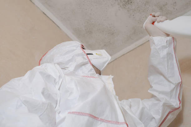 Best Basement Mold Remediation in Geneva, OH